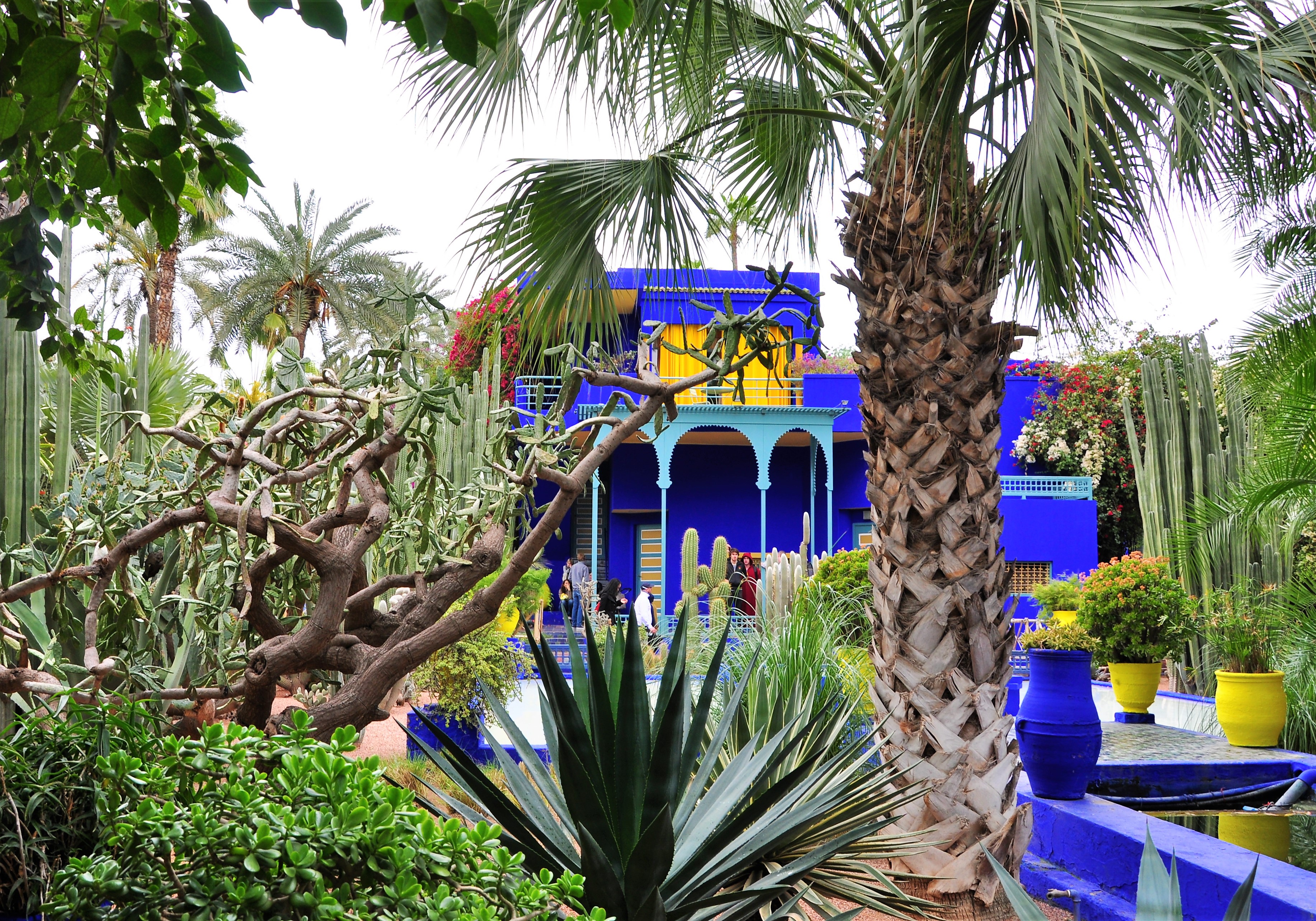 Jardin Majorelle Marrakesh