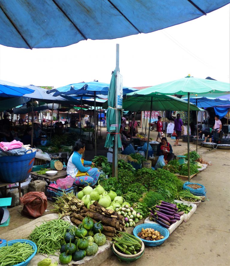 How the locals run their markets, Vietnam - Laos - Safe and Healthy Travel