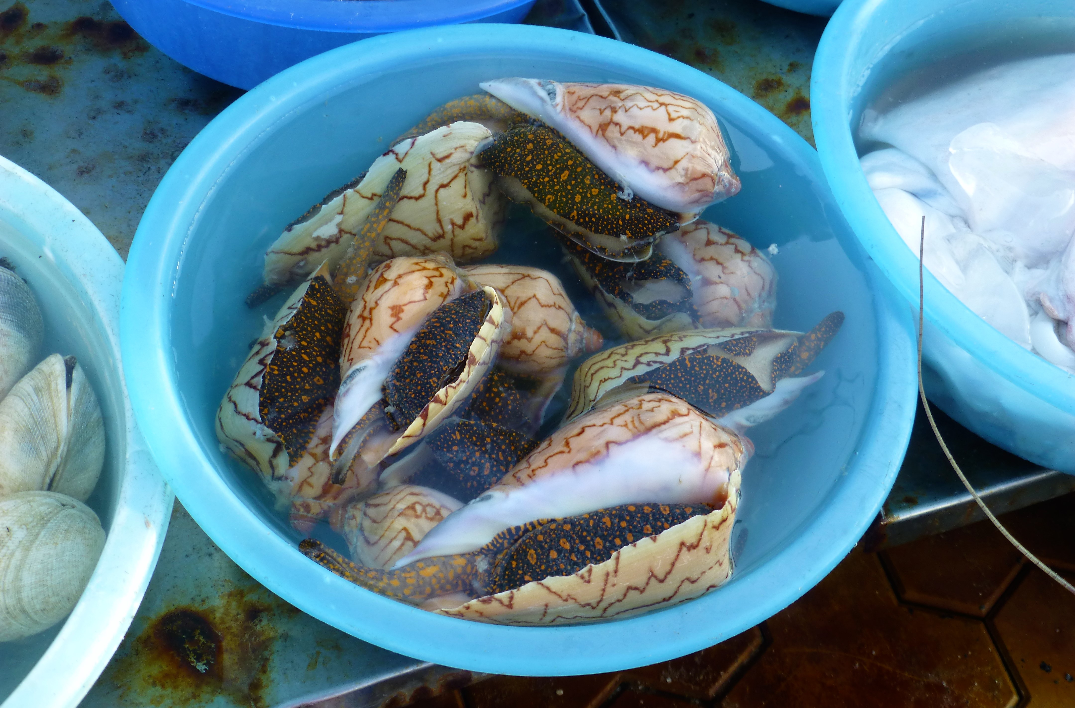 What to do in Mui Ne, Vietnam