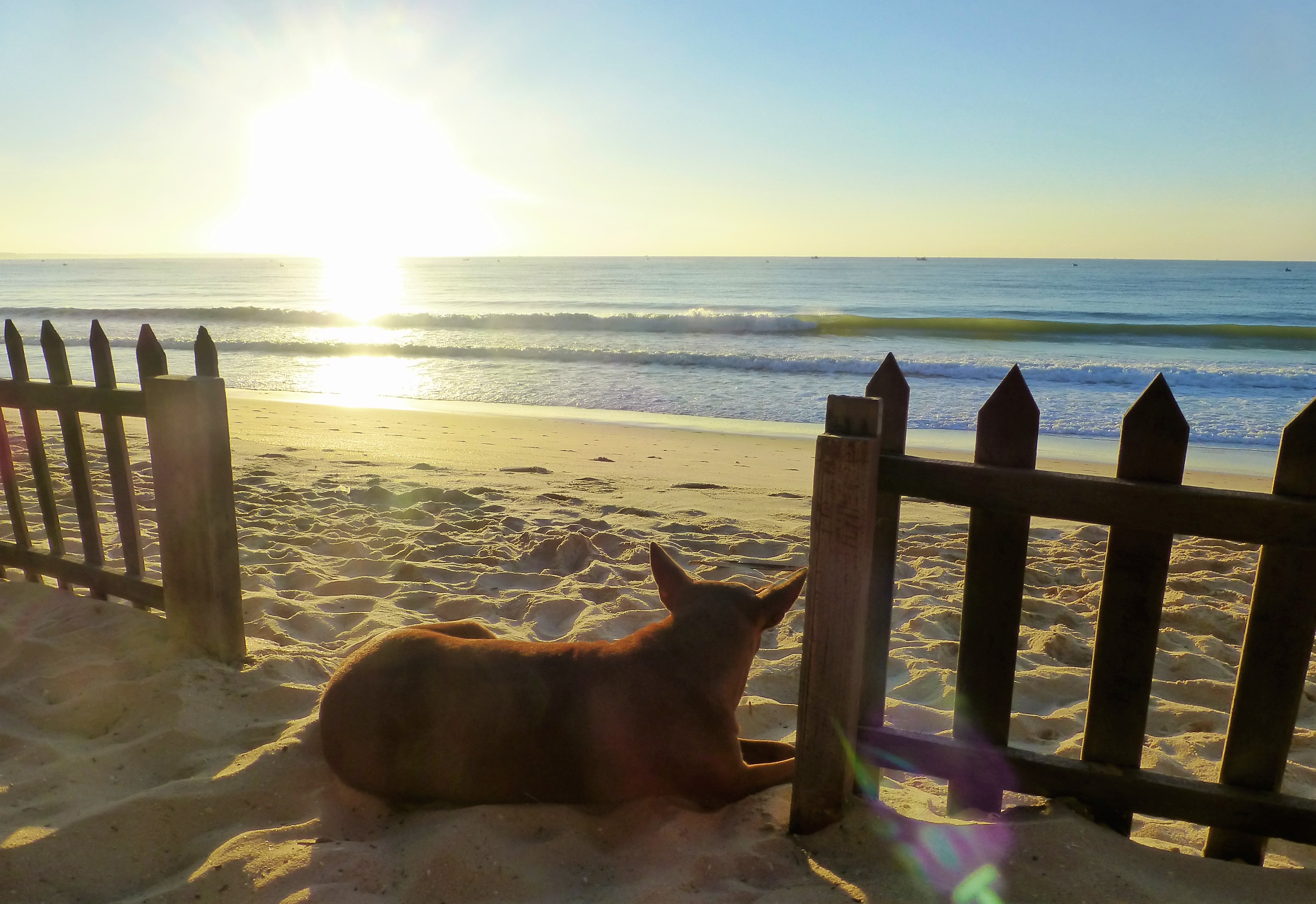 Things to do at Mui Ne