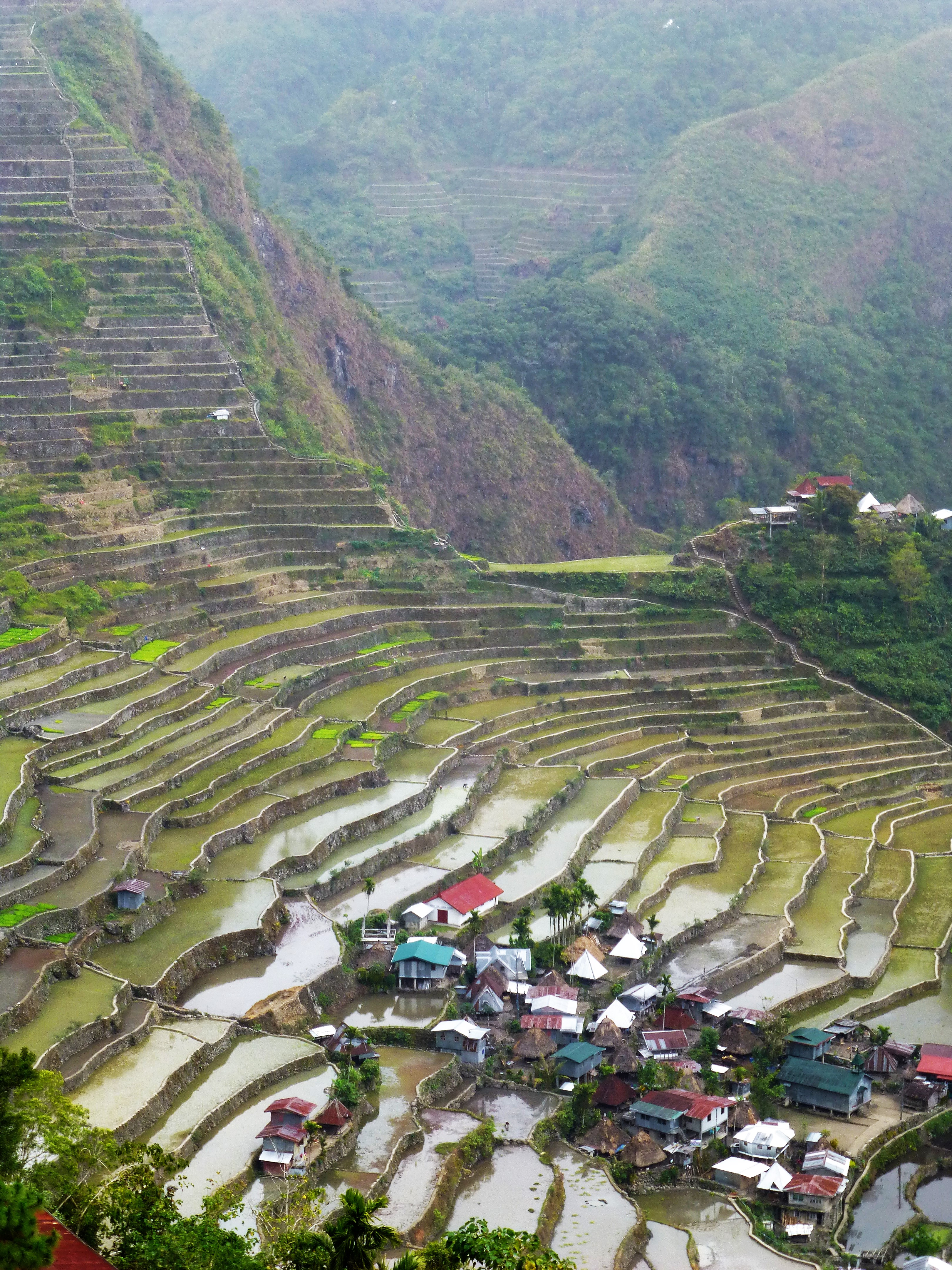 Ancient Old Rice Terraces of Banaue, The Phillipines