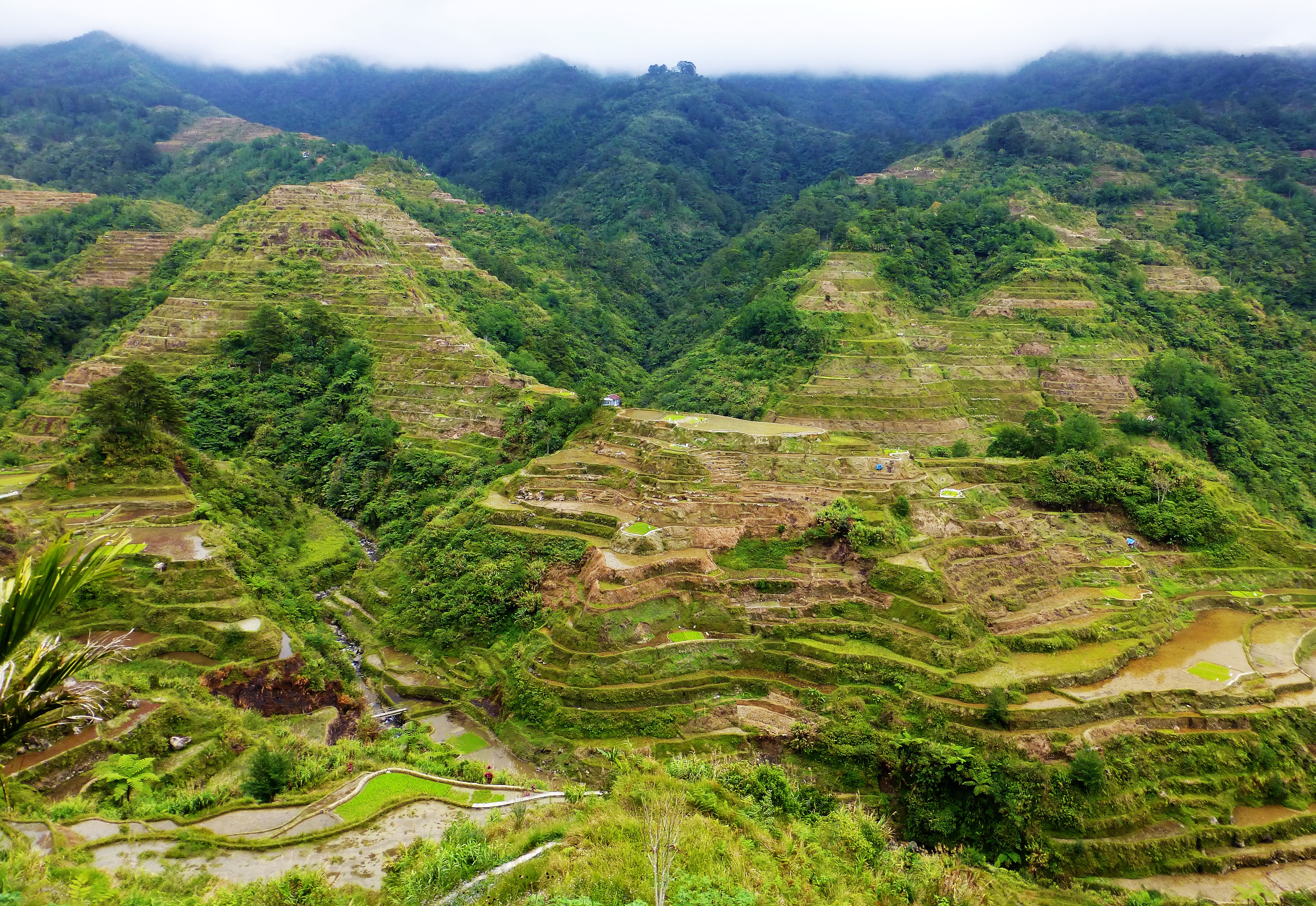 Ancient Old Rice Terraces of Banaue, The Phillipines