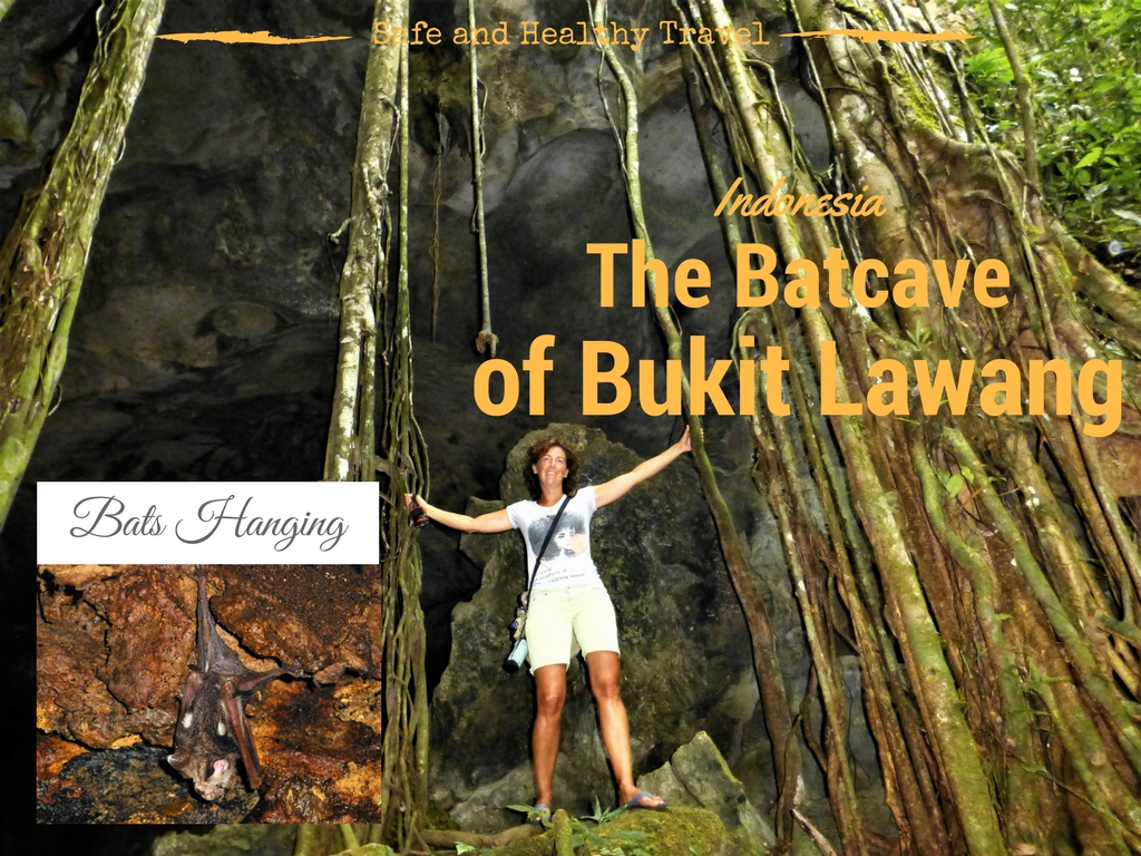 A visit to the batcave at Bukit Lawang, Indonesia
