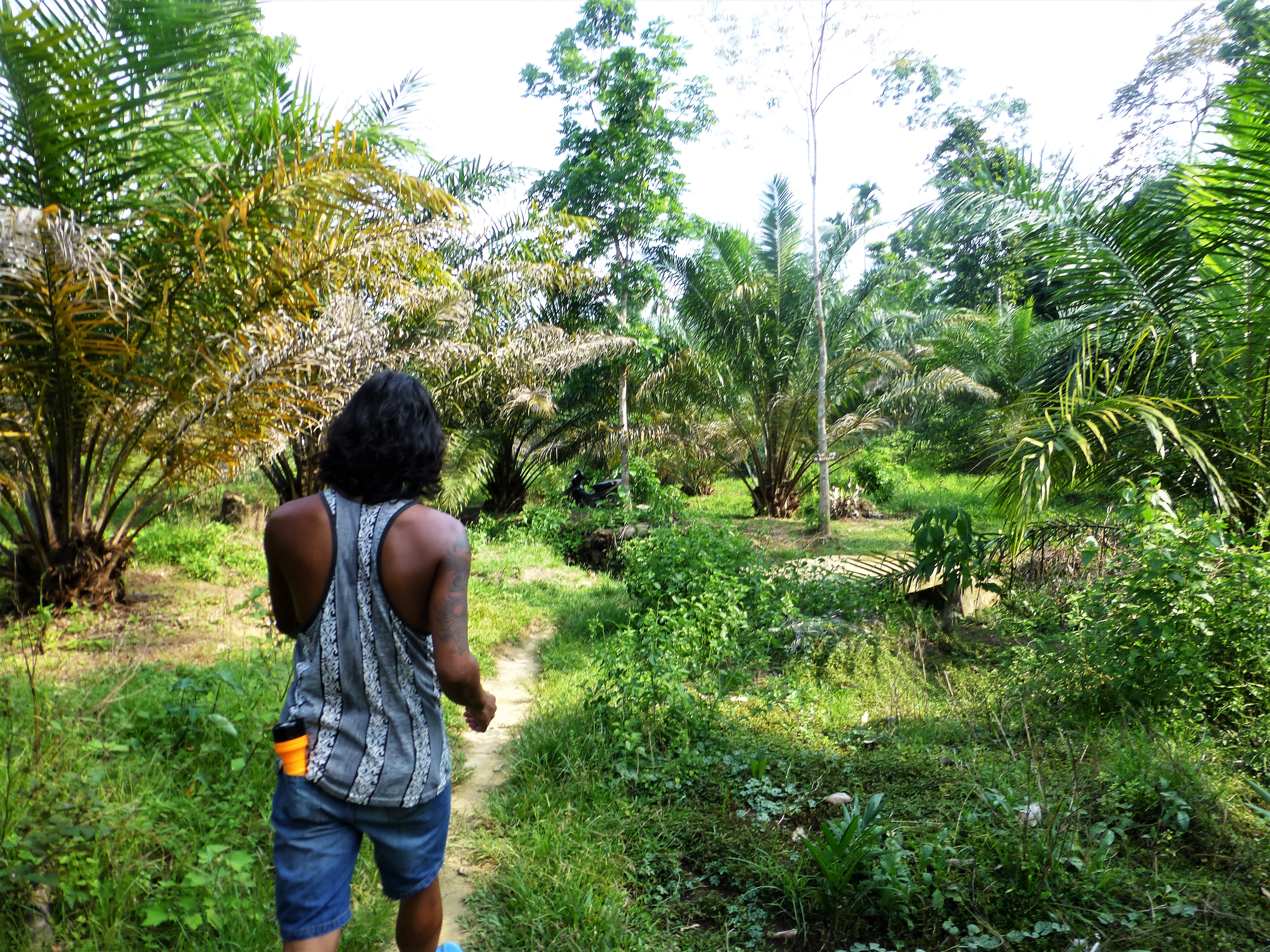 Batcave at Bukit Lawang