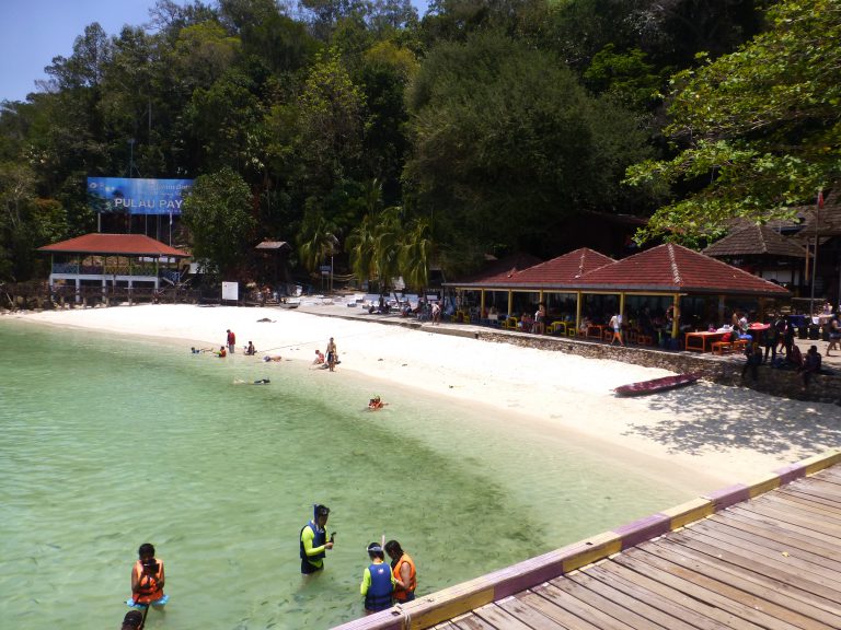 Snorkeling with the Blacktip Reef shark at Pulau Payar, Malaysia - Safe ...