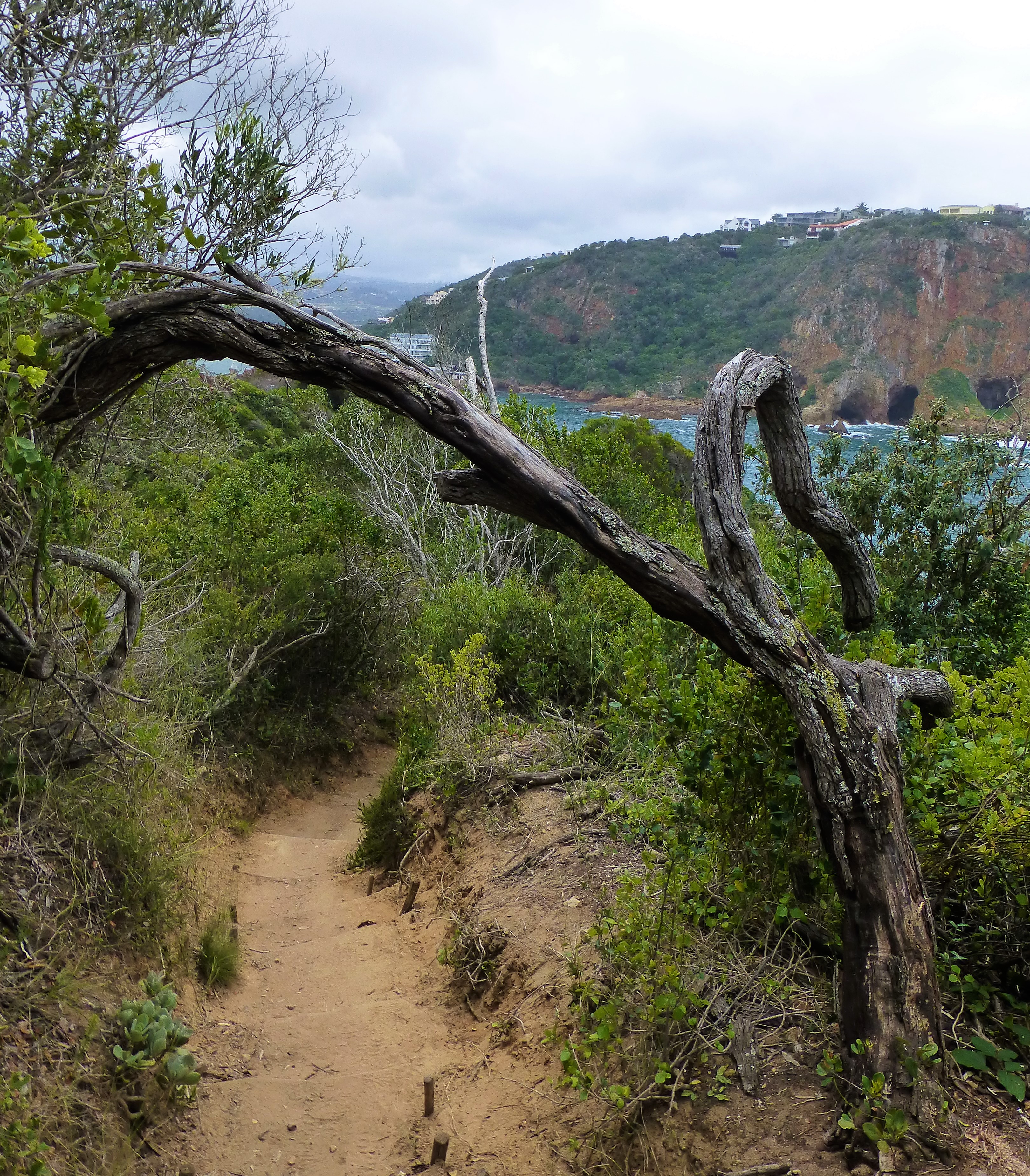 The Famous Knysna Heads, Featherbed Nature Reserve - South Africa
