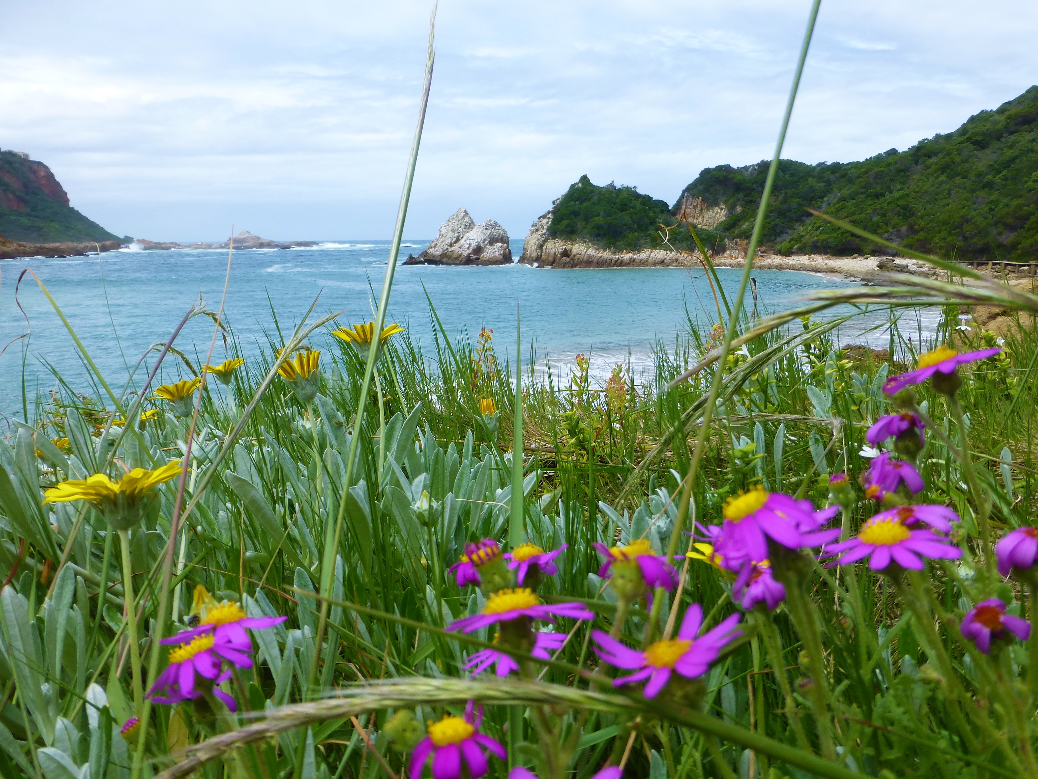The Famous Knysna Heads, Featherbed Nature Reserve - South Africa