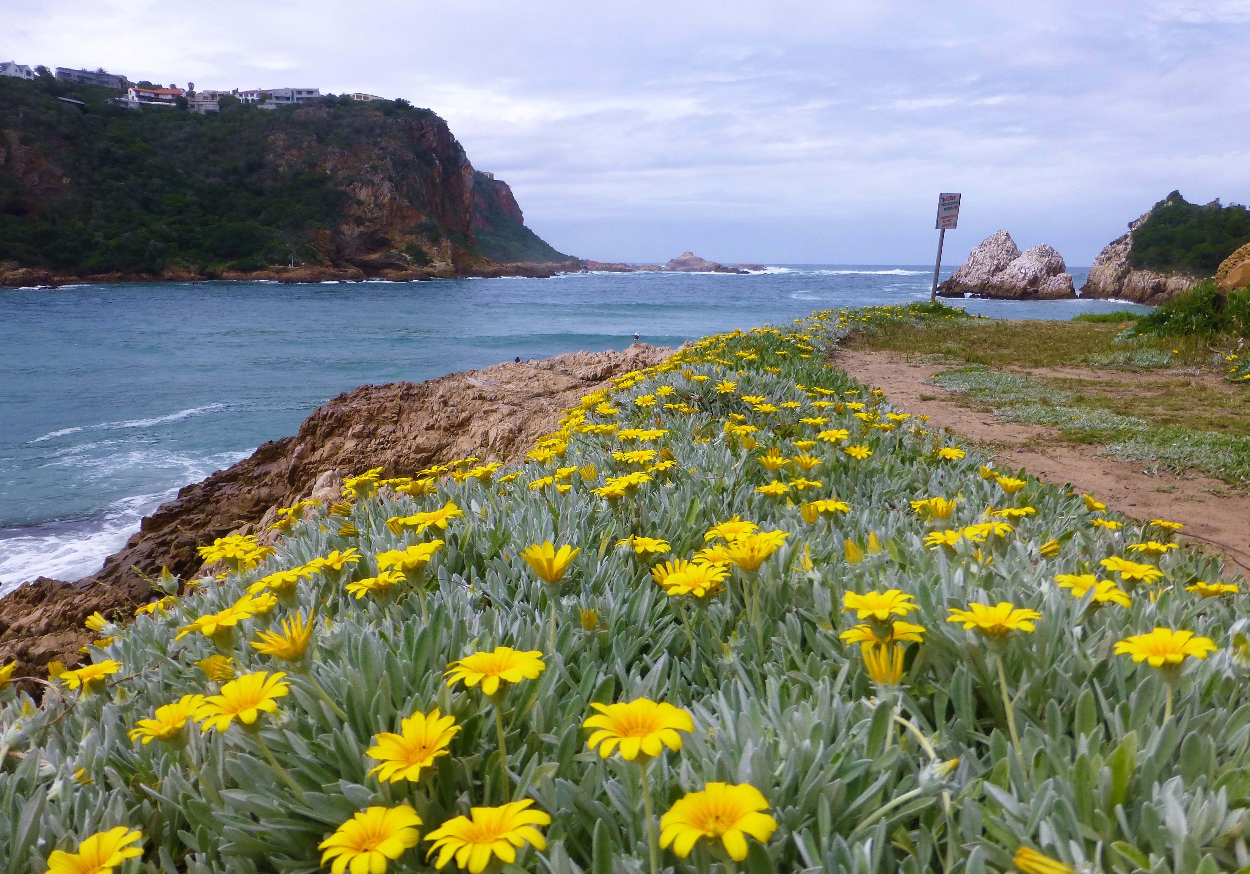 The Famous Knysna Heads, Featherbed Nature Reserve - South Africa