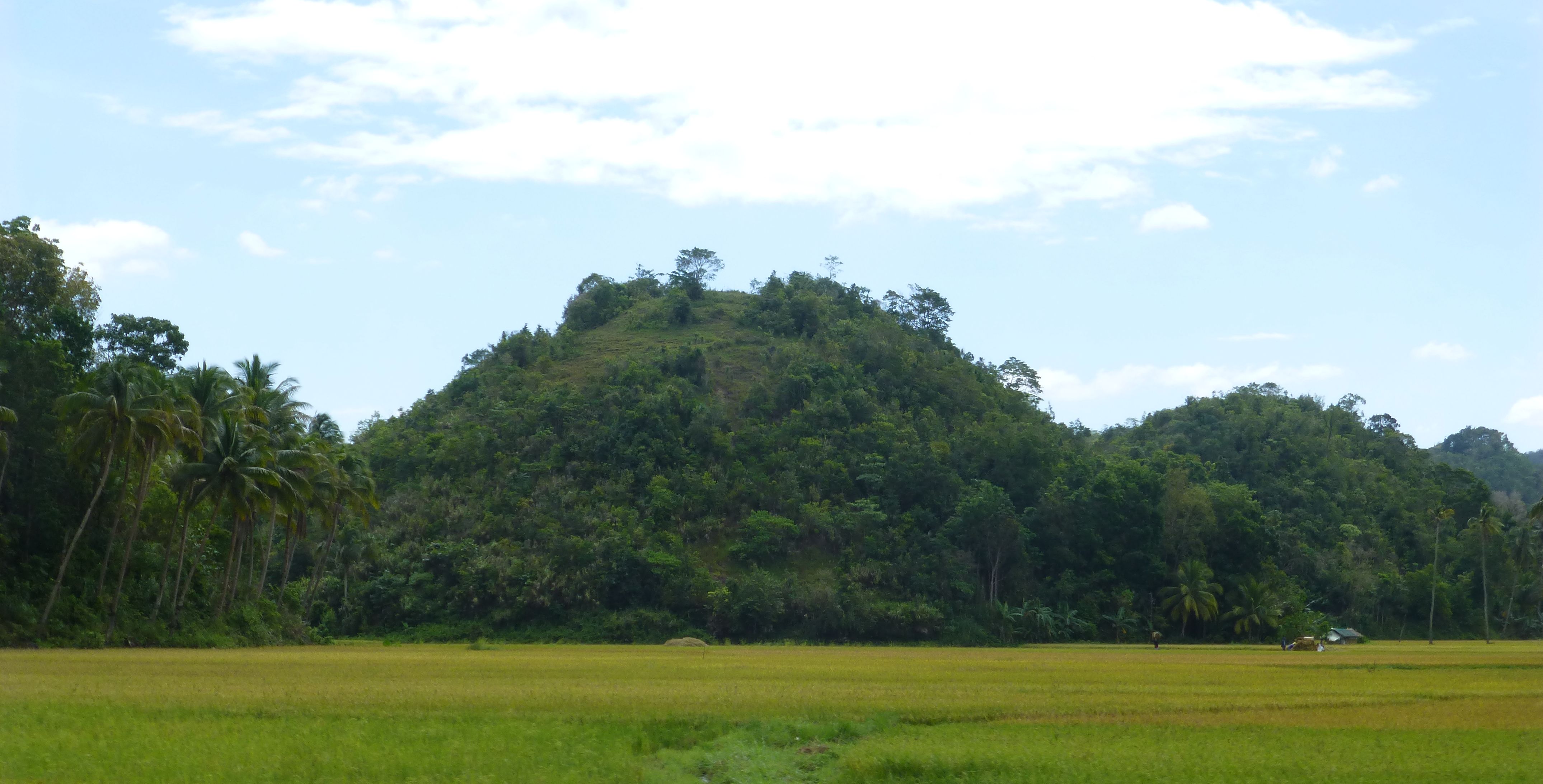 Chocolate Hills, Bohol Chocolate Hills, Bohol