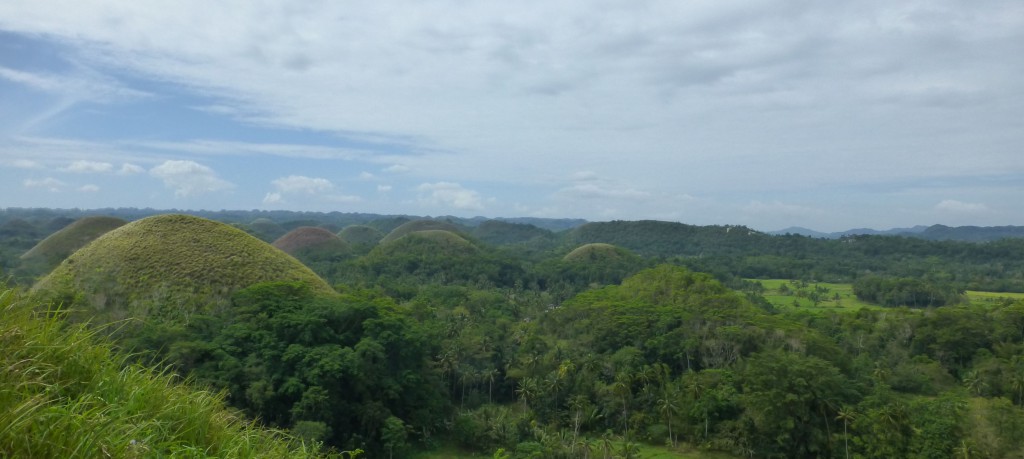 Chocolate Hills - Bohol