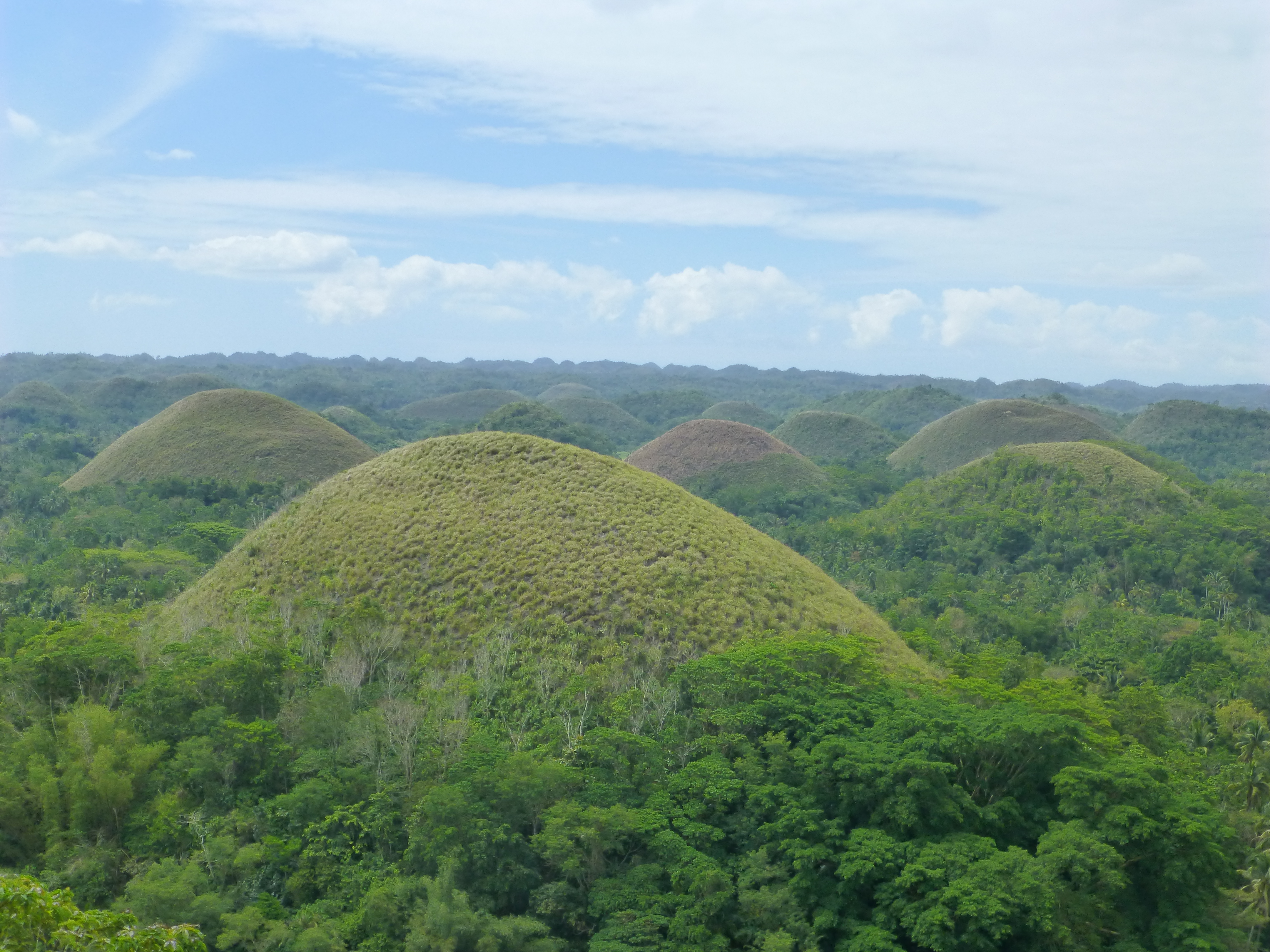 Chocolate Hills - Bohol Chocolate Hills - Bohol