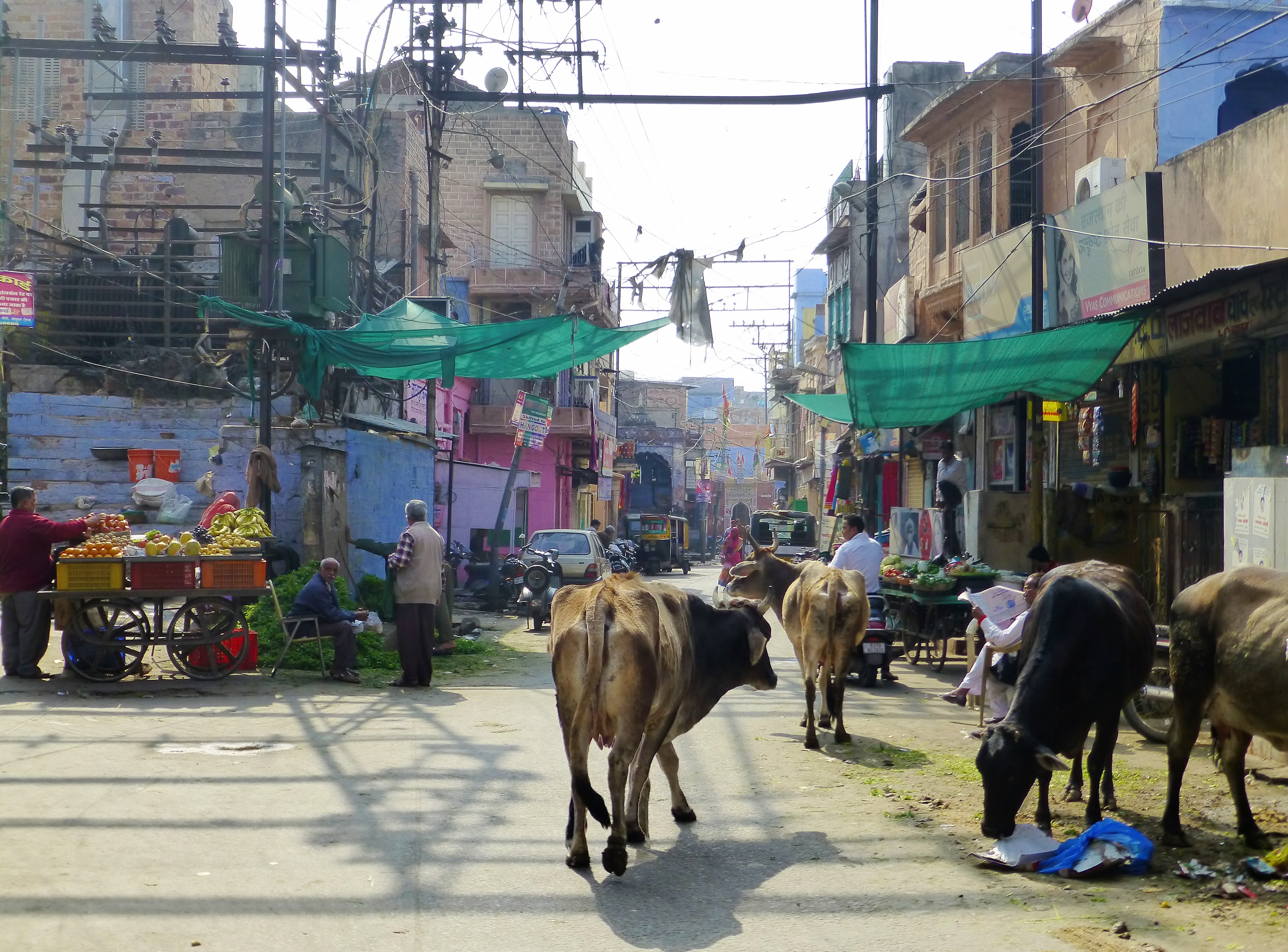 Jodhpur, the Blue city in Rajasthan - India Jodhpur, the Blue city in Rajasthan - India