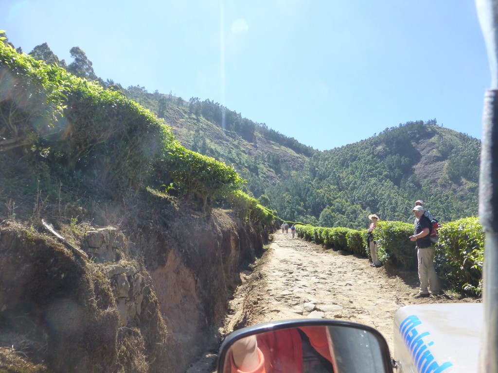 Exciting drive up - Munnar, Kerala