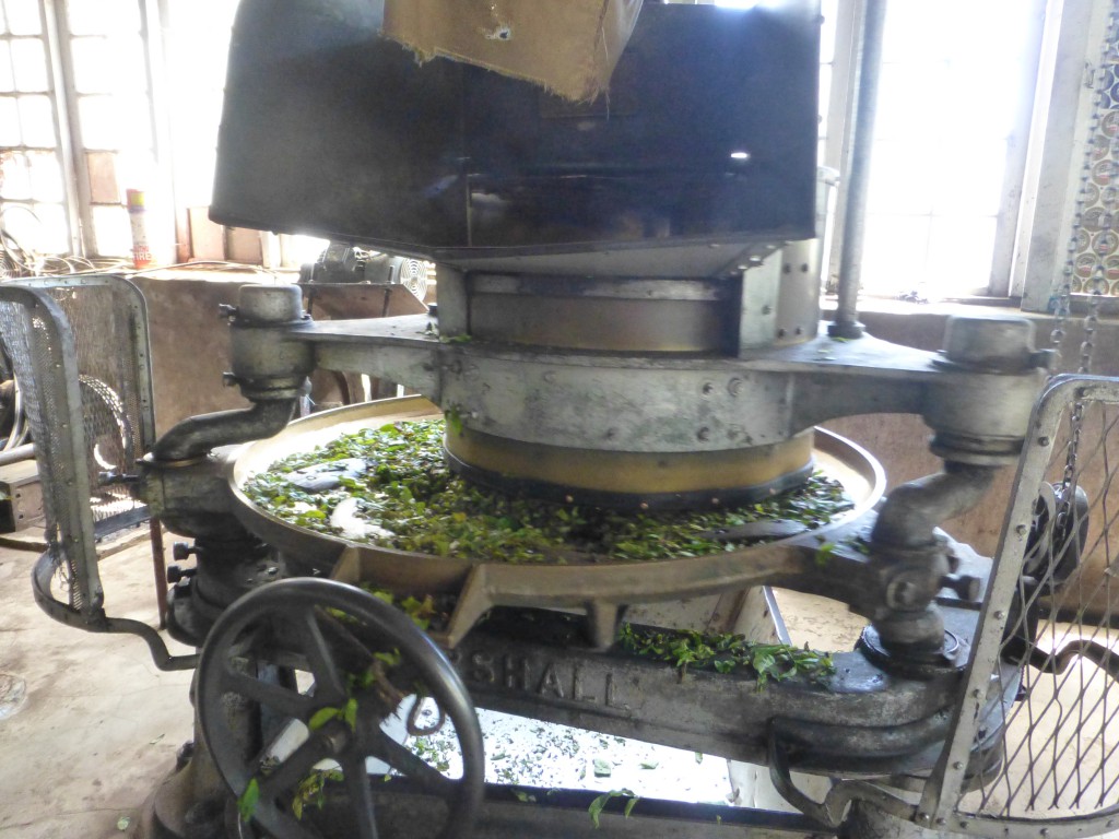 Museum Kolukkumalai Teaplantation - Munnar, Kerala