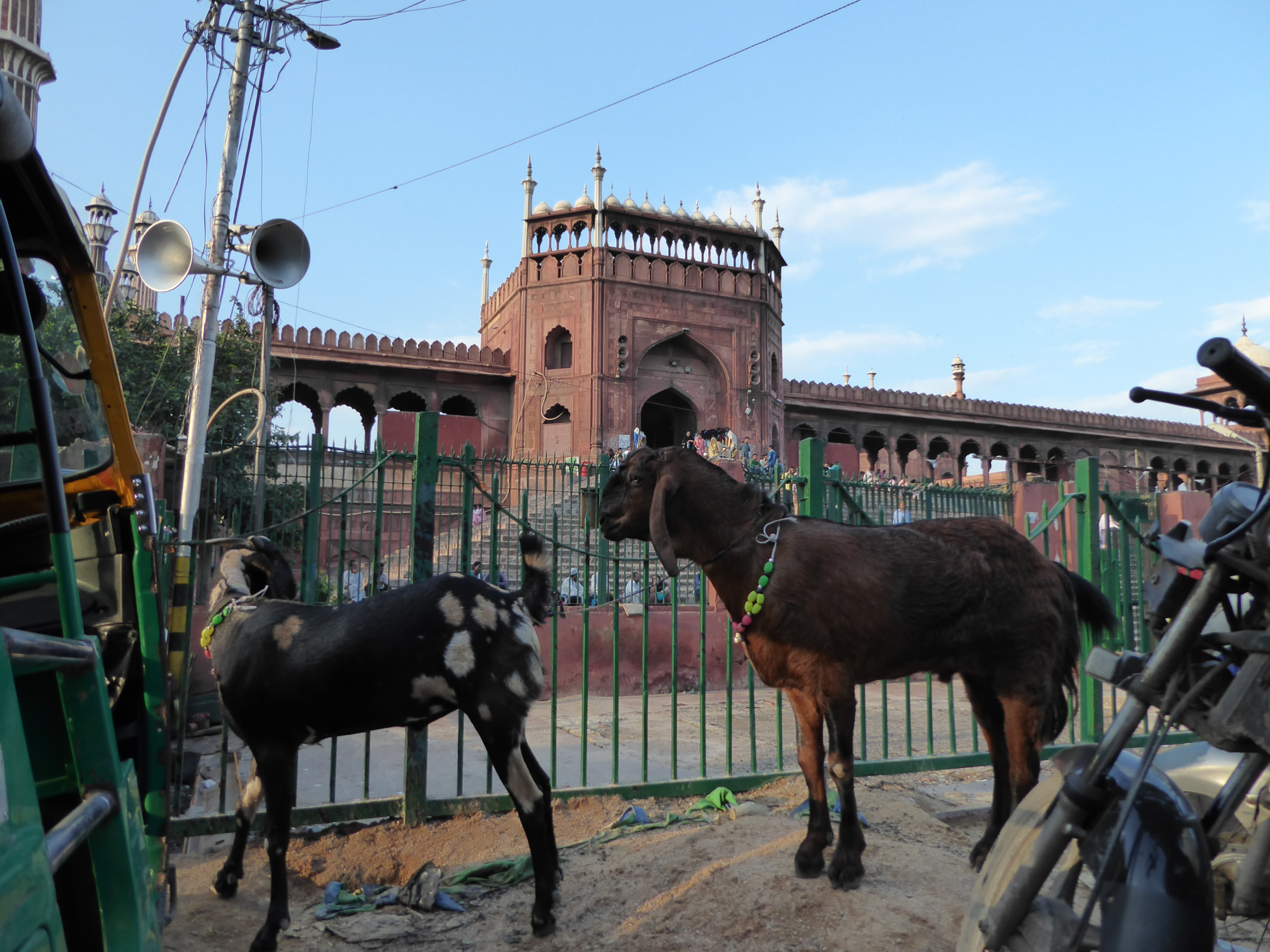 Rickshaw Ride in Old Delhi Rickshaw Ride in Old Delhi