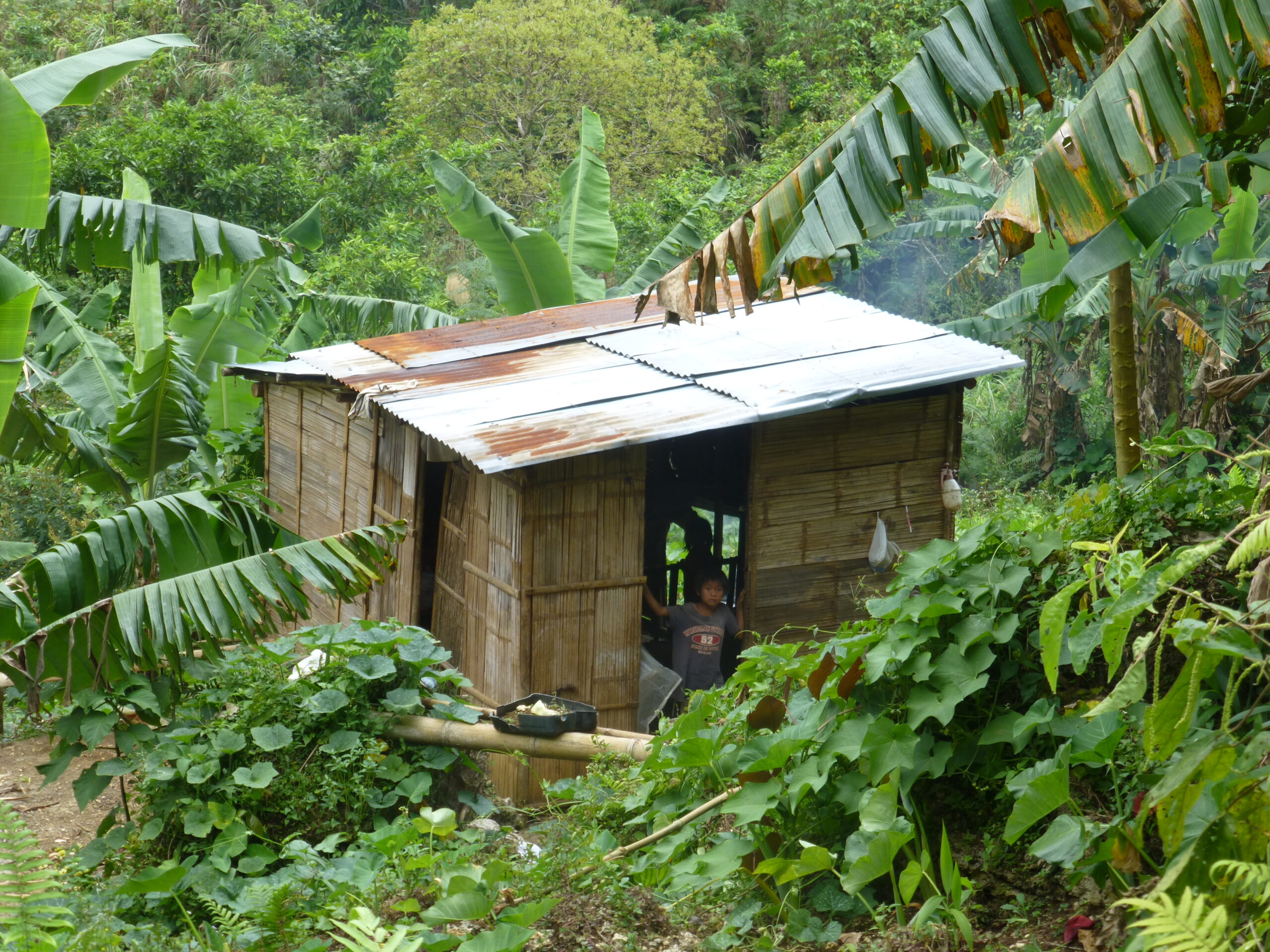 Osmena Peak Hiking to Osmena Peak - Cebu