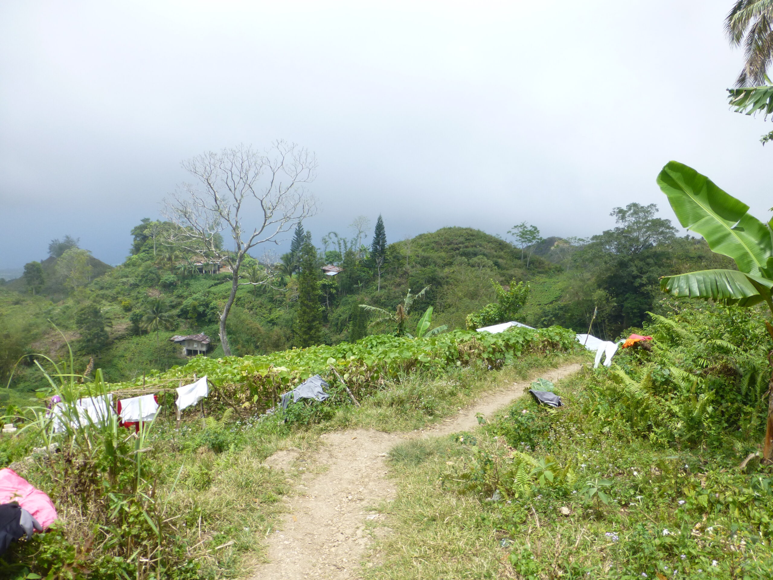 Hiking to osmena Peak - Cebu
