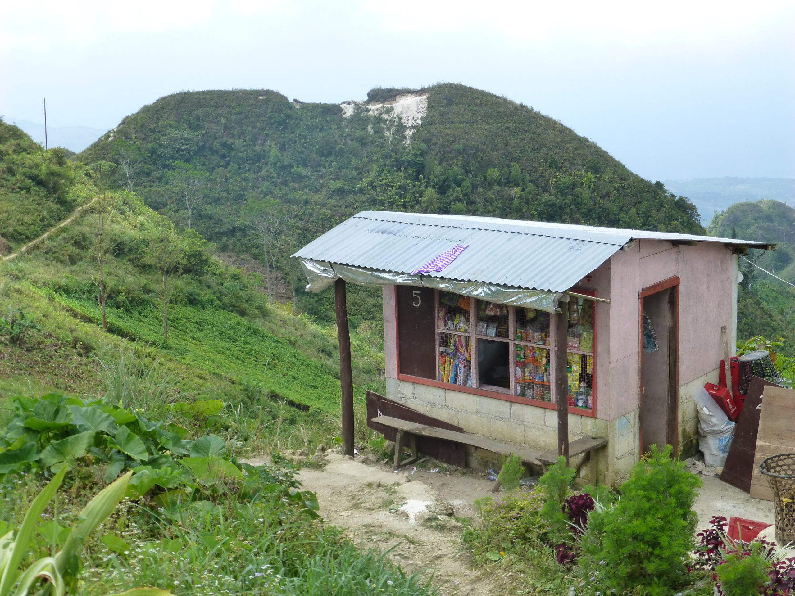 Osmena Peak Hiking to Osmena Peak - Cebu