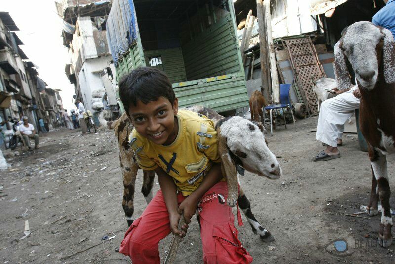 Dharavi Slum, Mumbai India