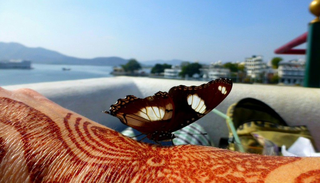 India, Udaipur - Pichola lake