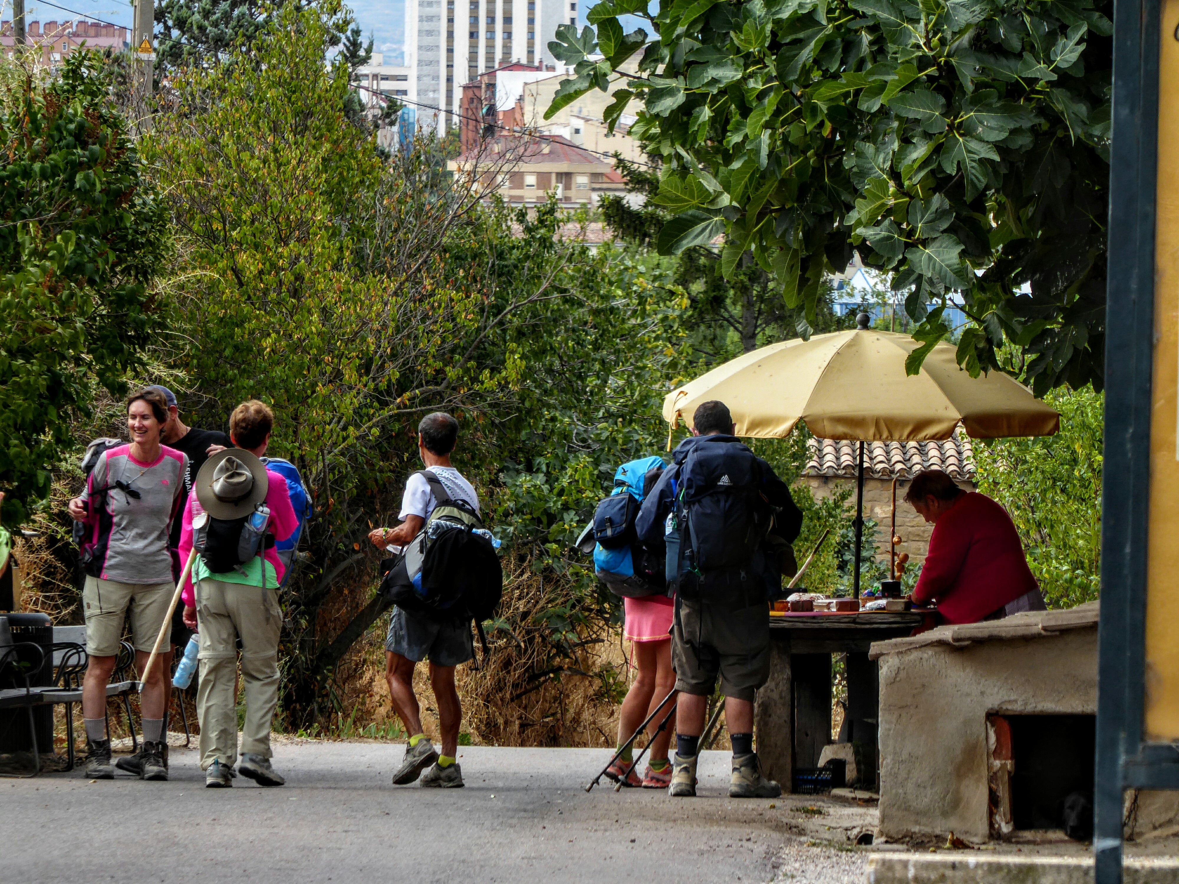 First 200K of the Camino Frances Camino Frances