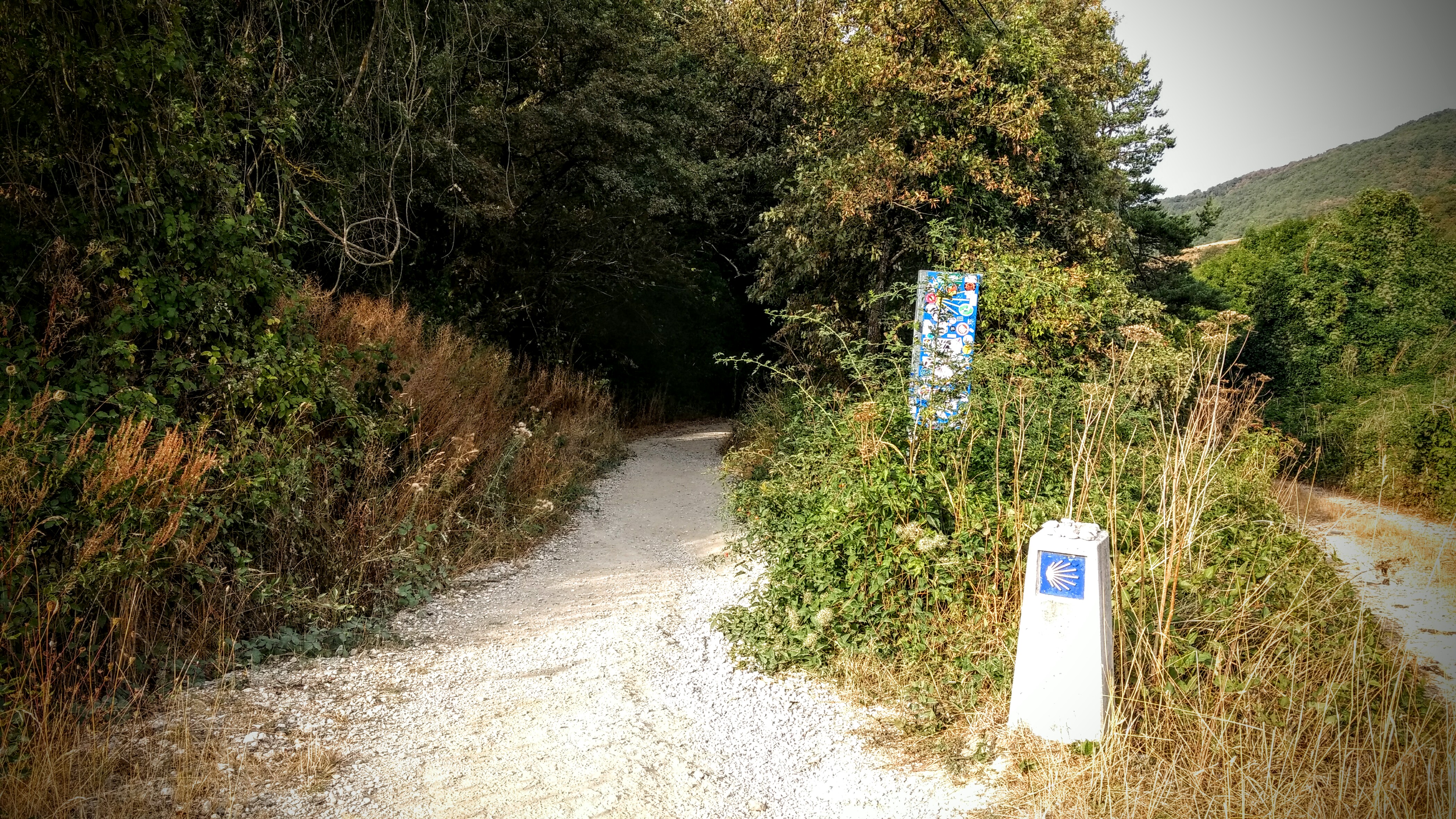 First 200K of the Camino Frances Camino Frances