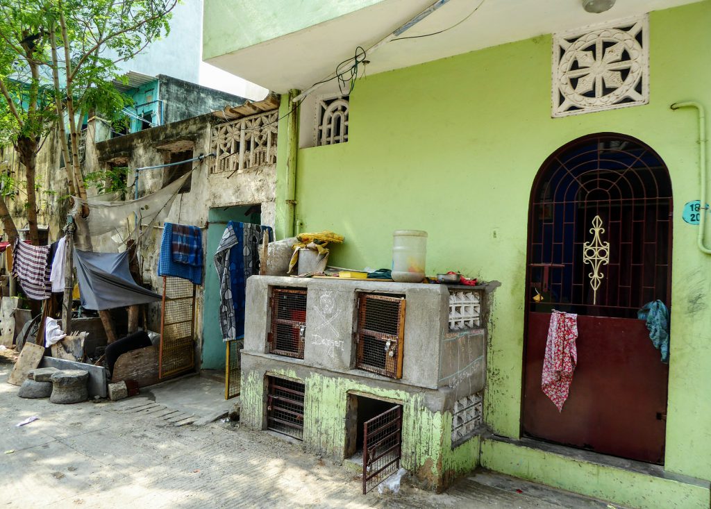 Het meest kleurrijke straatje van Chennai - Tamil Nadu, India