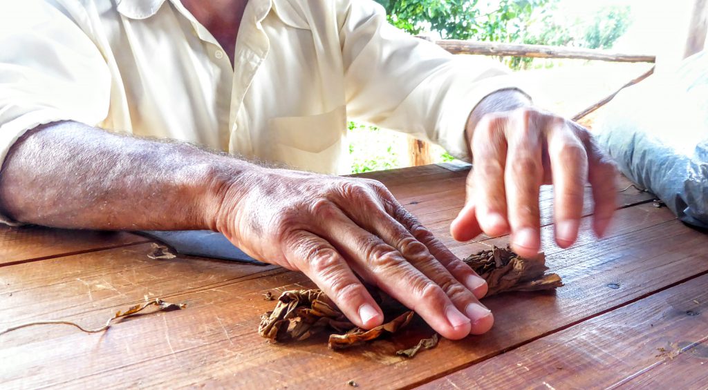 Cuba, Rolling the cigar