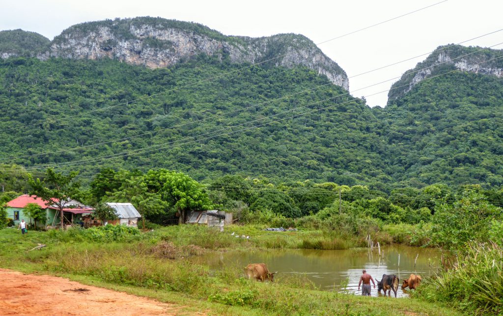 Cuba, Hiking in Valle Vinales