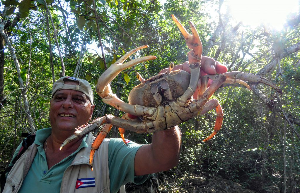 Wandelen in Parque Nacional Cienaga de Zapata