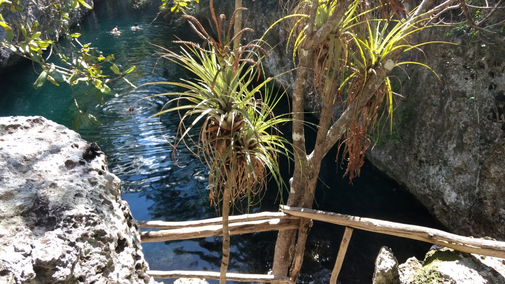 Cuba, Swimming at a Cenote