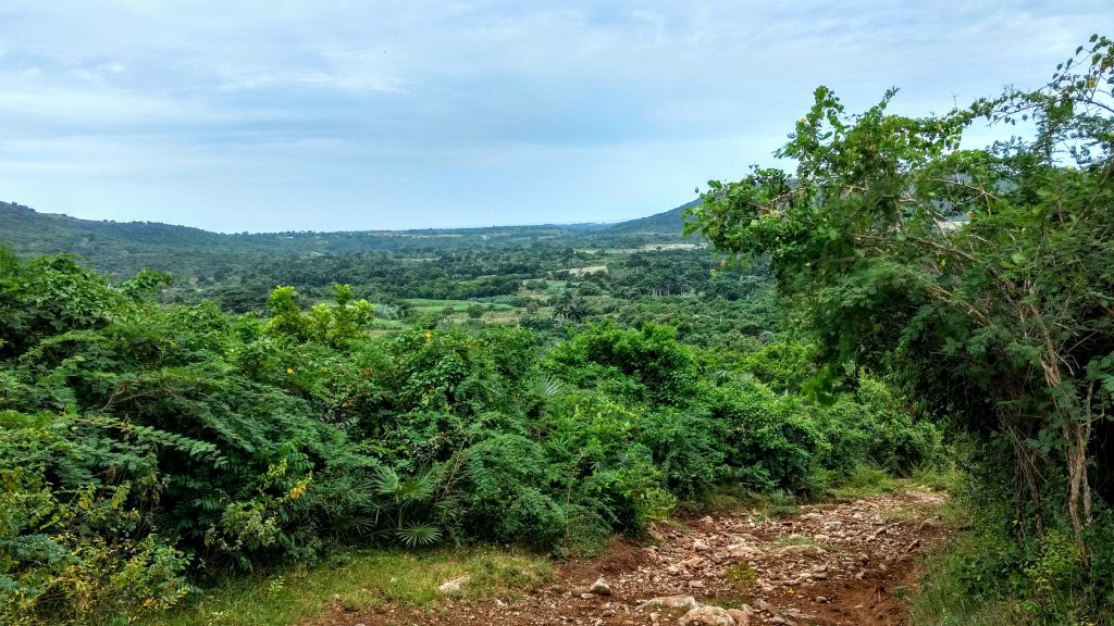 Cuba, Valle de los Ingenios