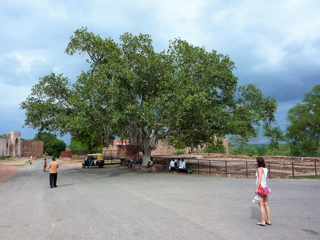 Fatehpur Sikri nabij Agra