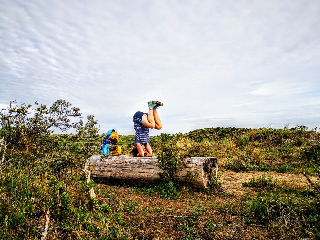 Yoga Pose in the Dutch Dunes