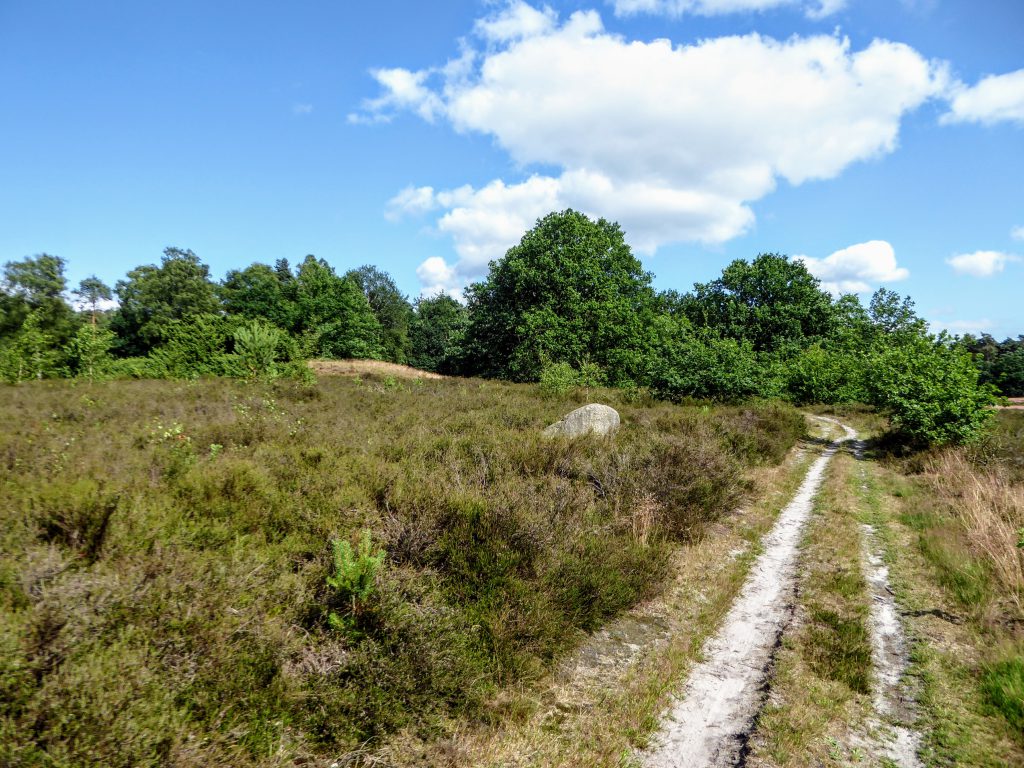 Springendal, Ootmarsum - Mooiste Wandelingen Overijssel