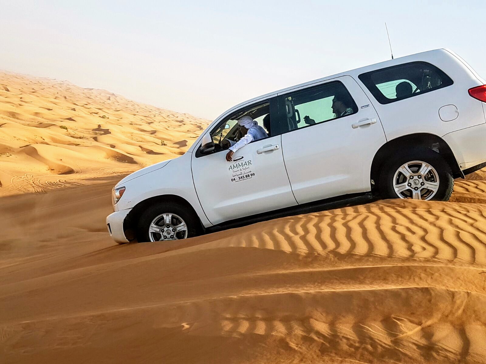 Best Pics taken in the Desert of the UAE - Safe and Healthy Travel