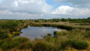 3 Short Hikes @ Engbertsdijksvenen - The Netherlands - Safe and Healthy ...