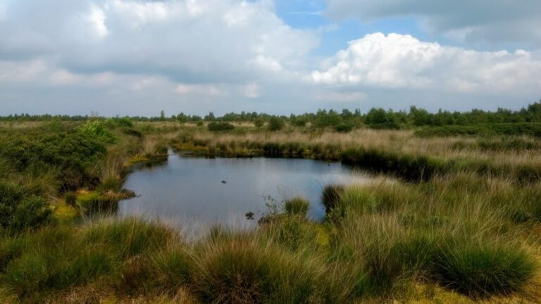 Unique landscape at the Engbertdijksvenen, Twenterand