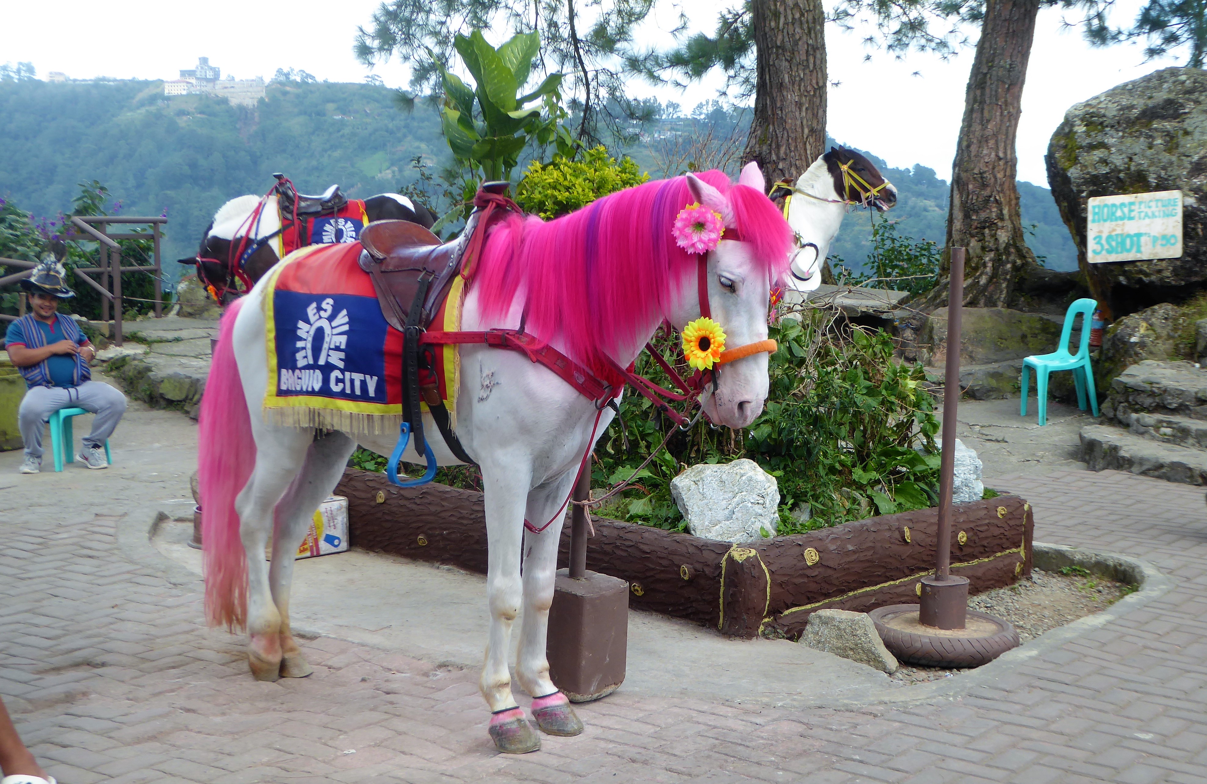 Things to do & Places to Visit in Baguio - Summer Capital of The Philippines Things to do & Places to Visit in Baguio - Summer Capital of The Philippines