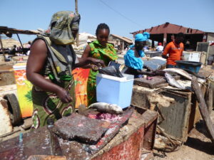 Fish market in Tanji - The Gambia