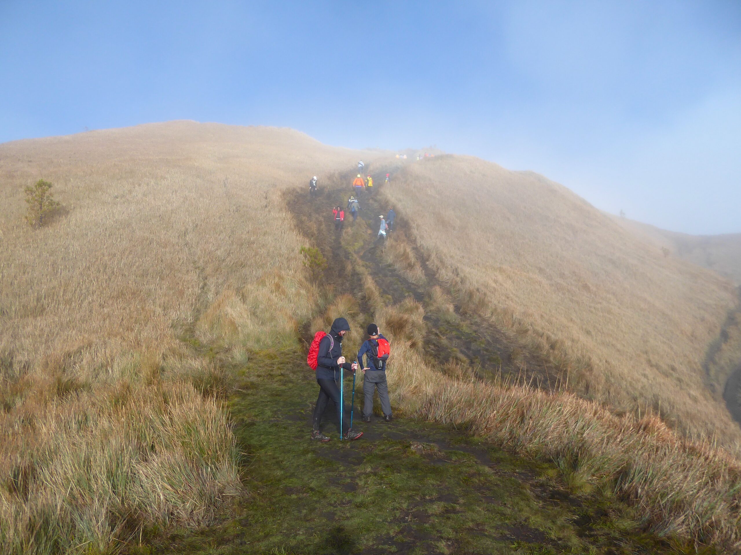 Instant Happiness - Mt Pulag