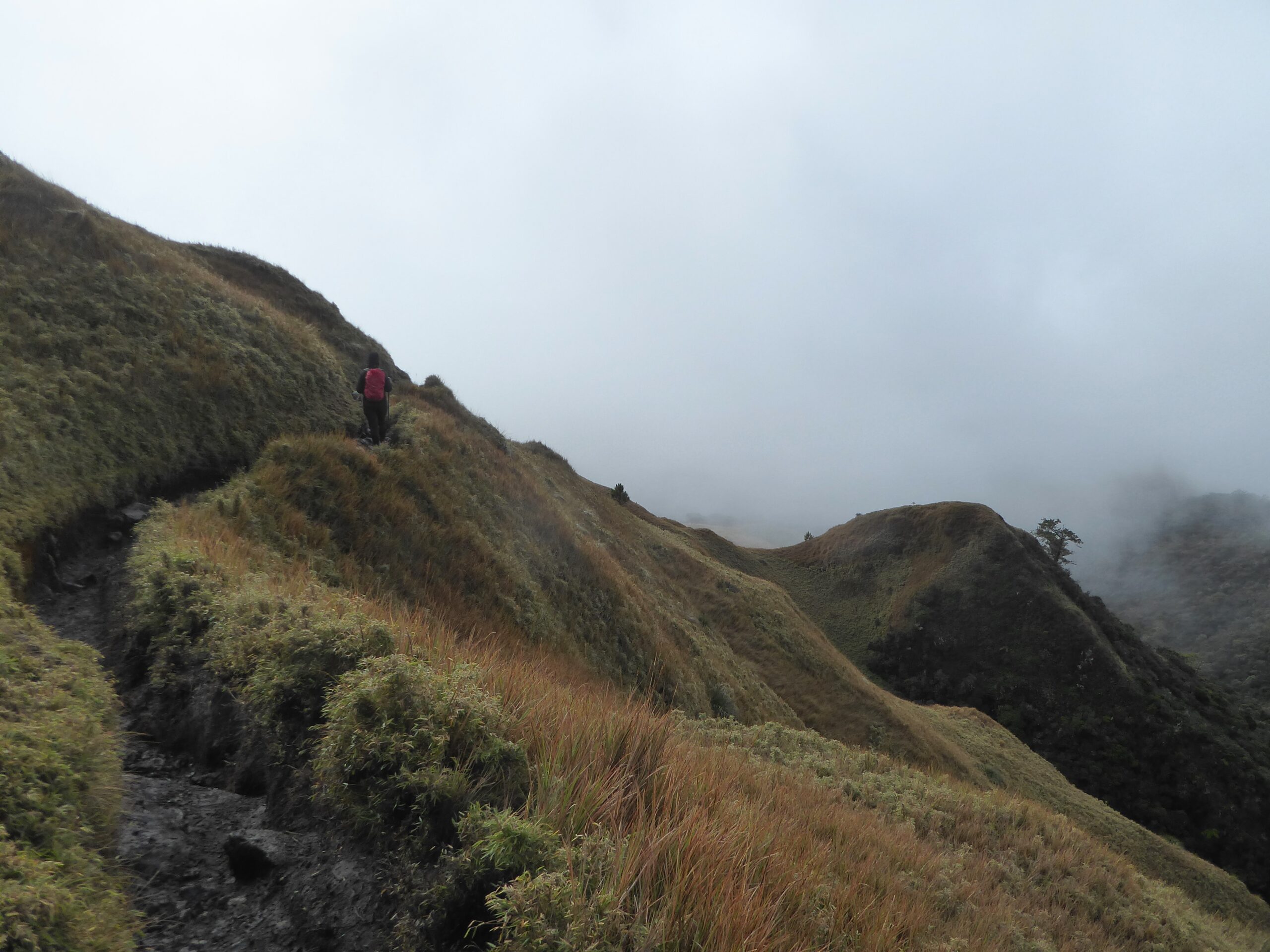Hiking to the Summit of Mt Pulag Mt Pulag during the cloudy sunrise