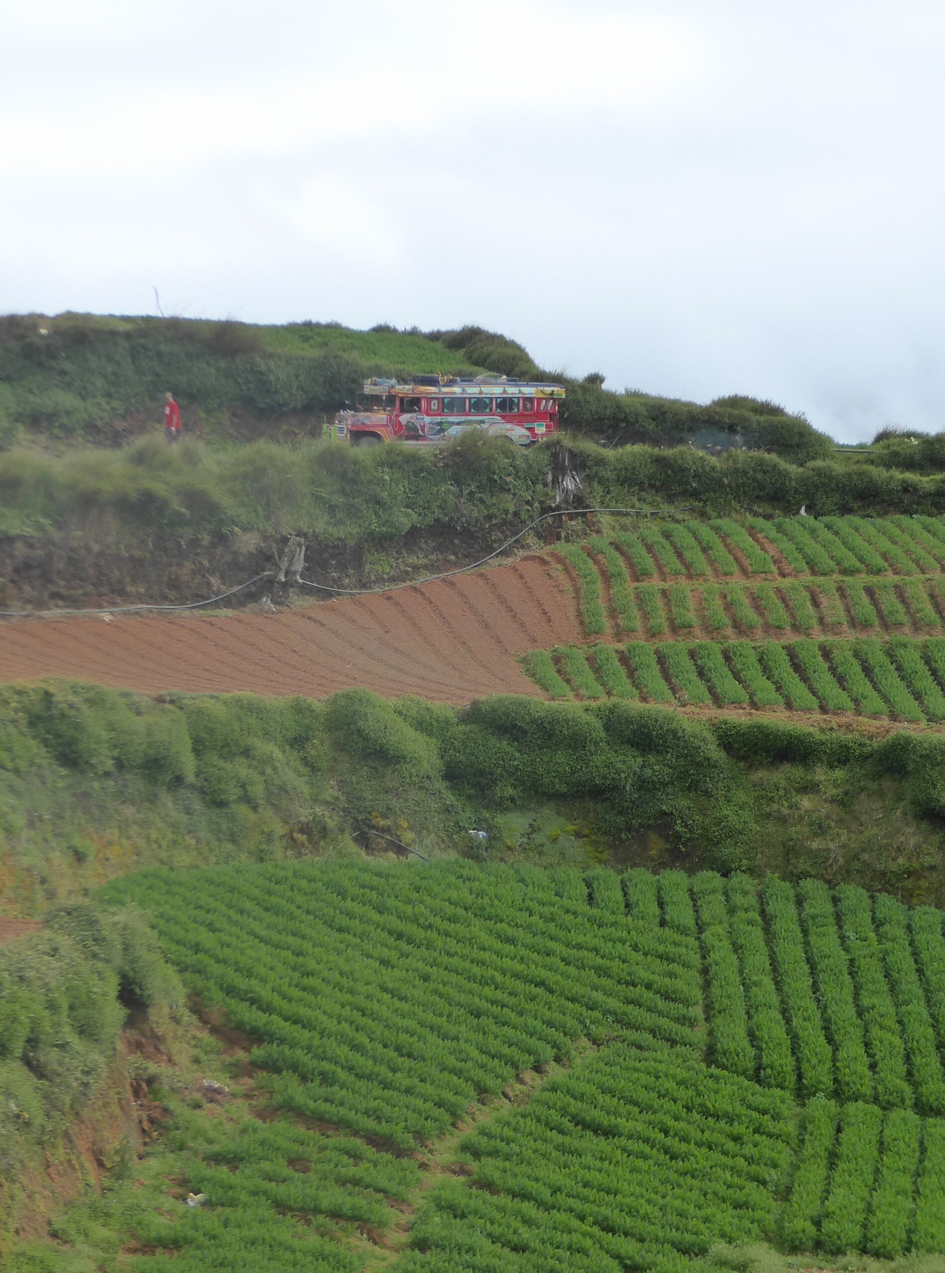Mt Pulag Homestay Philppines Landscape