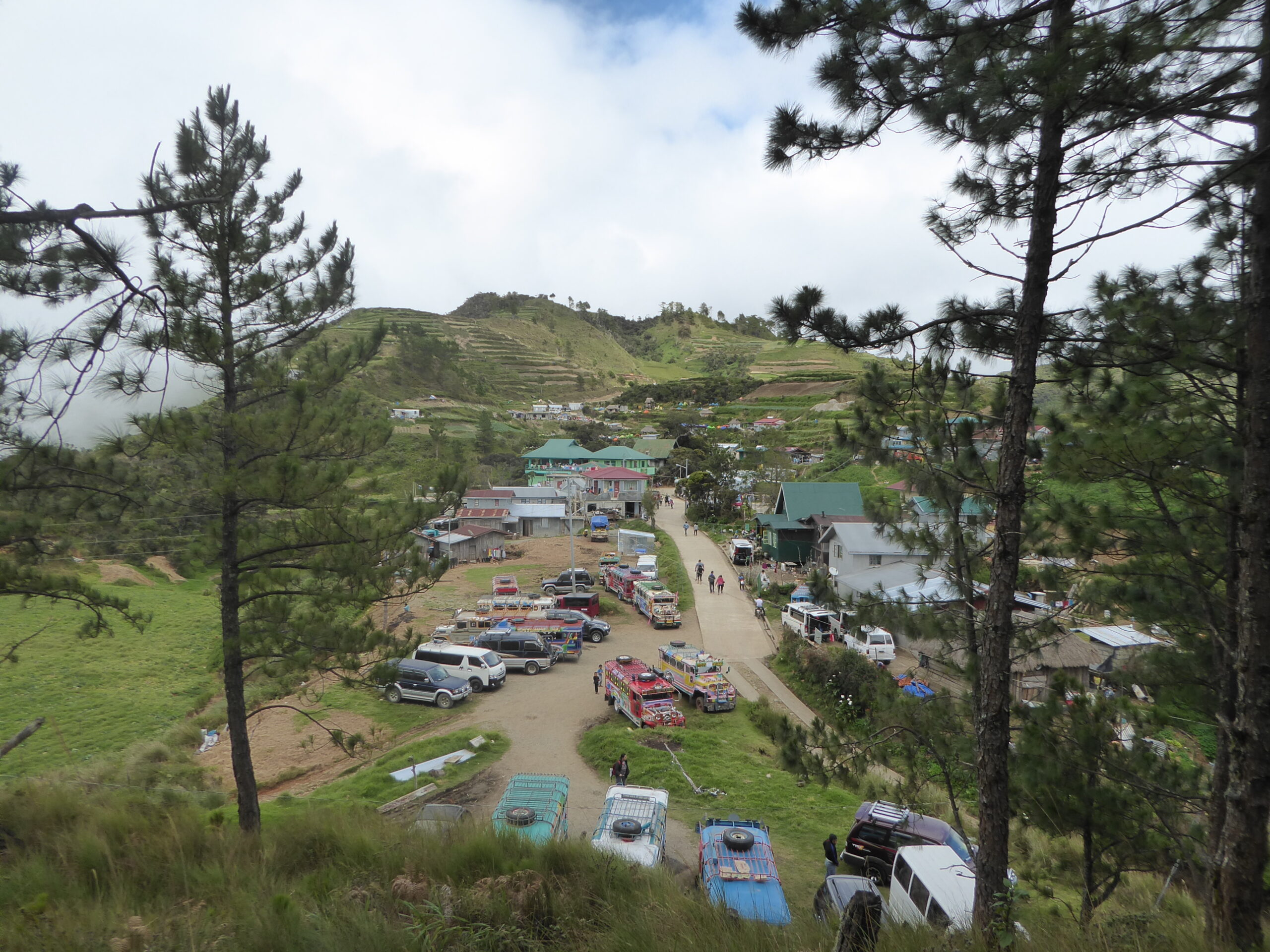 Mt Pulag in The Philippines - Safe and Healthy Travel