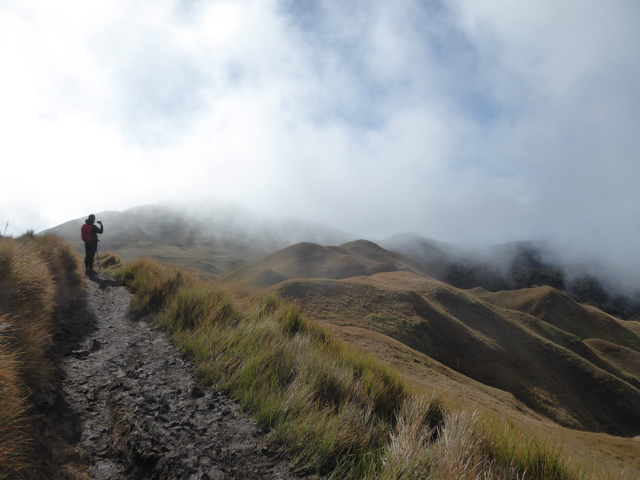 Trekking to the Summit of Mt. Pulag: A Complete Guide to the Philippines' Sea of Clouds
