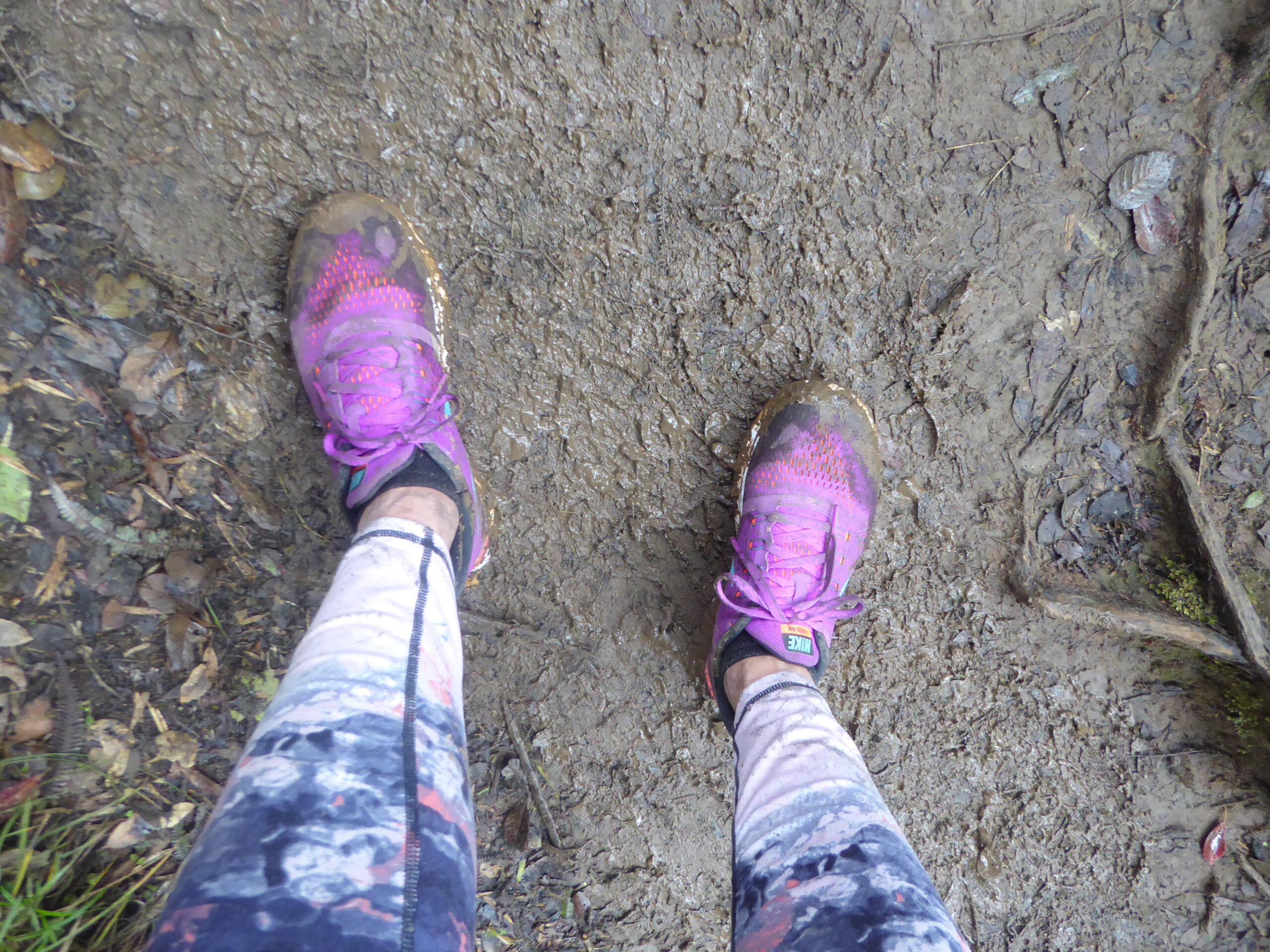 Dirty shoes on Mt Pulag