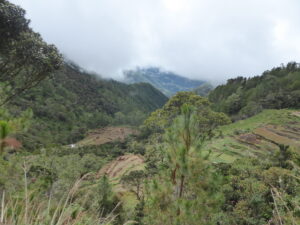 Landscape of Mt Pulag area