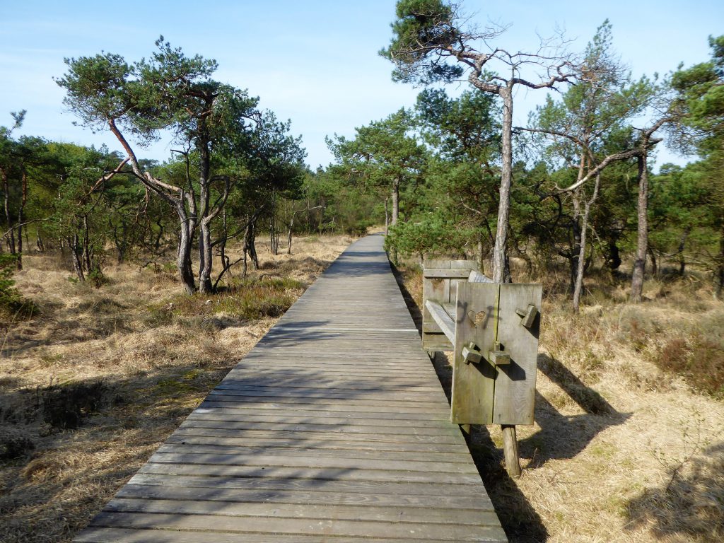 My Most Beautiful Hikes in Overijssel - The Netherlands