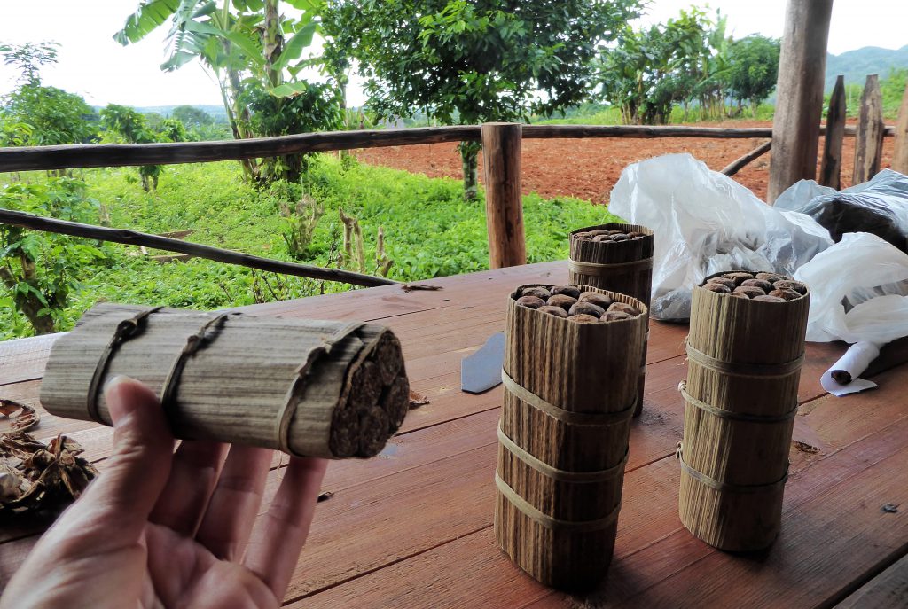 Hiking to the cigar farm in the Viñales Valley - Cuba