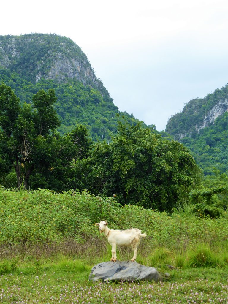 Hiking to the cigar farm in the Viñales Valley - Cuba